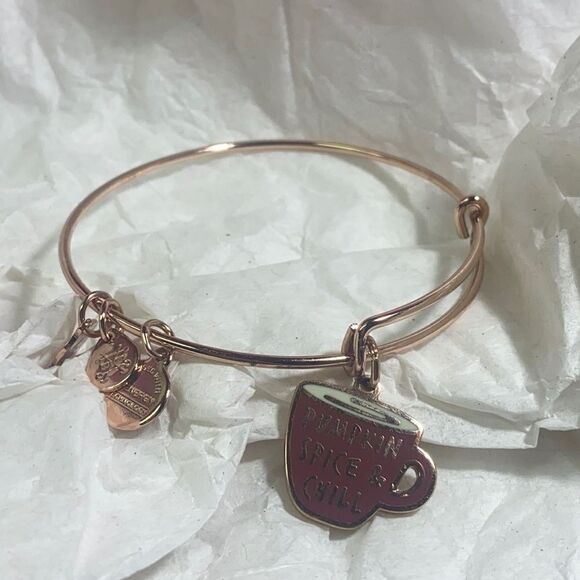 ⭐️HOST PICK⭐️ Alex and Ani Bracelet - Picture 2 of 2